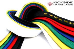 Taekwon-Do-Belt-Test